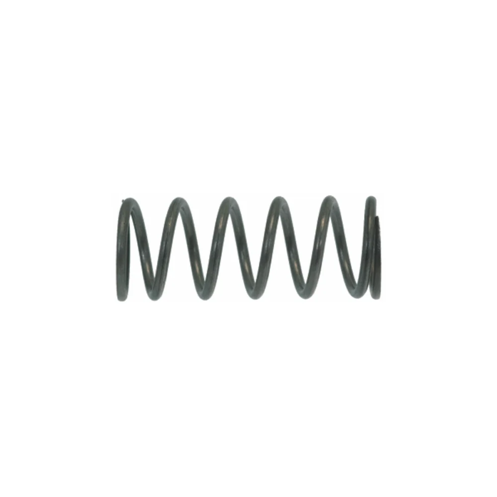 Steam/Water Valve Spring